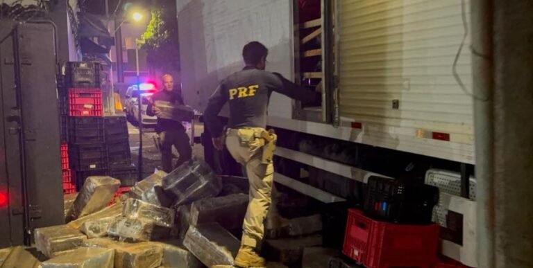 Caminhão com mais de 3 toneladas de maconha é apreendido na BR-262, em Bom Despacho; um homem é preso