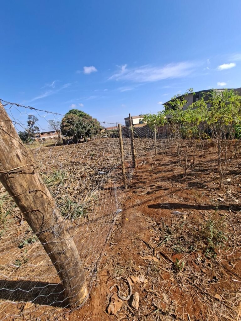 Terreno da Prefeitura é cercado e ocupado no Juá 2, e moradores cobram providências