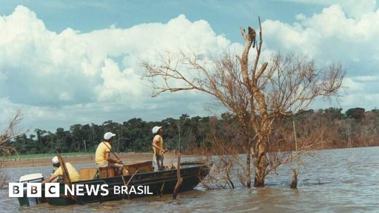 Mymba Kuéra: o resgate de 30 mil animais na obra de Itaipu Mymba Kuéra: como foi o monumental resgate de mais de 30 mil animais durante a construção de Itaipu, entre o Brasil e o Paraguai