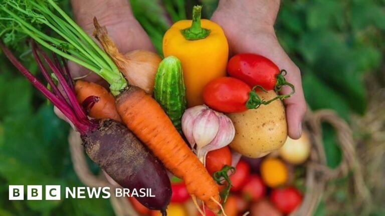 O que devemos comer para ter a pele mais jovem